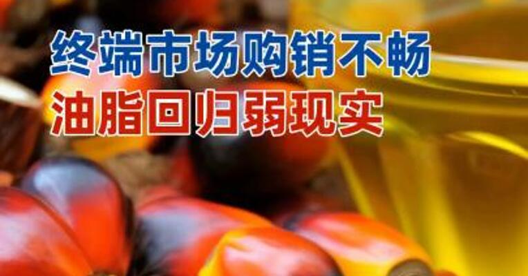 终端市场购销不畅，油脂回归弱现实