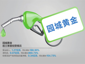 园城黄金回复问询函：1亿系自有，剩余款项为借款