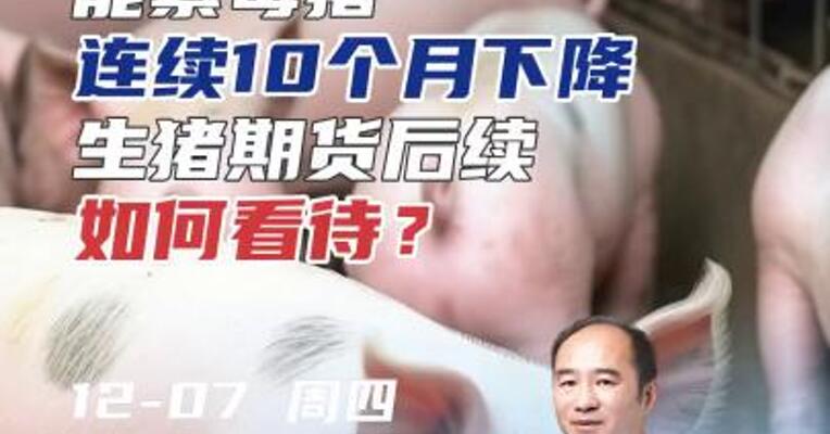 能繁母猪连续10个月下降，生猪期货后续如何看待？#期货 #农业 #交易