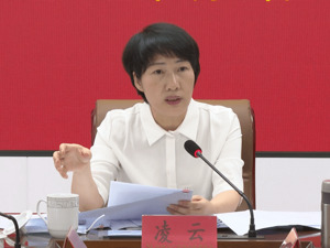 凌云被查！曾任海口市副市长……