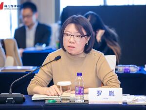 人保资本投资研究部负责人罗胤：险资可以从四大领域寻找未来投资的确定性