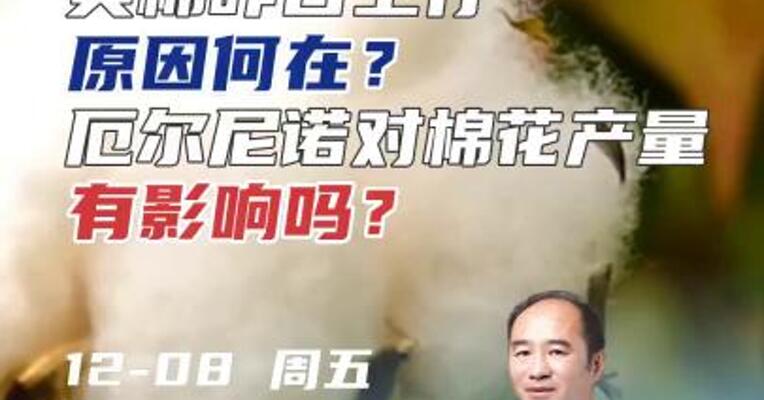 美棉昨日上行，原因何在？厄尔尼诺对棉花产量有影响吗？#期货 #棉花 #天气