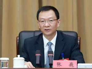 最新！张巍任河南省委委员、常委和省纪委书记