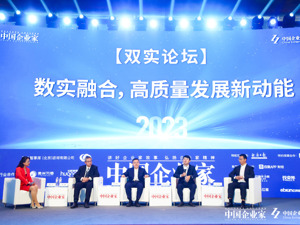 中国民营经济研究会副会长任泽平：不要轻易否定传统产业 双实企业应“先立后破”