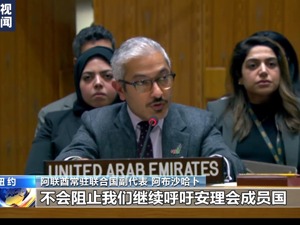 加沙停火决议草案遭美国否决，阿巴斯谴责！法国、俄罗斯等国：失望