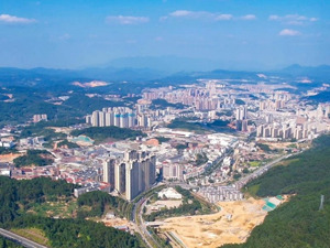 南方小城，为何这么“白”？