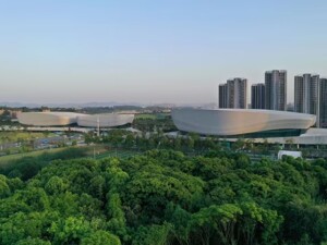 全球12支战队参赛 又一世界电竞赛事总决赛在成都高新区举行