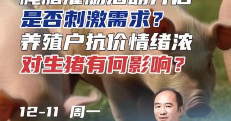 腌腊灌肠活动开启，是否刺激需求？养殖户抗价情绪浓，对生猪有何影响？#期货 #理财 #猪肉