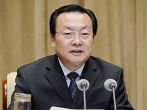 李鹏新被查！