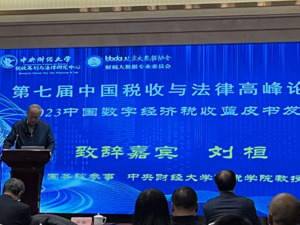 数字经济时代税收挑战与机遇并存 专家：未来可以通过开展数字税，增加数字经济的贡献   