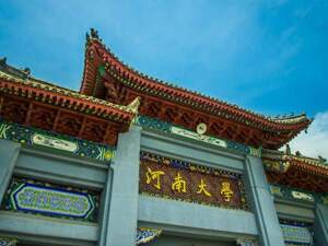 “抓住”河南大学，谁急了？