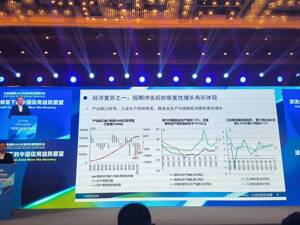 毛振华：在经济修复进程中，需要关注资产价格下行风险