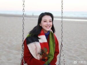 周海媚病历泄露者被行拘！罗翔发文：最高可判七年有期徒刑