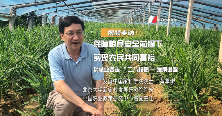 专访发展中国家科学院院士黄季焜：保障粮食安全前提下实现农民共同富裕，种植业要走“二八格局”发展道路