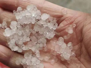 河南把“雷电雨雪冰粒冰针”配齐了！局地将现零下20℃！郑州暴雪来袭，所有A级旅游景区关闭……