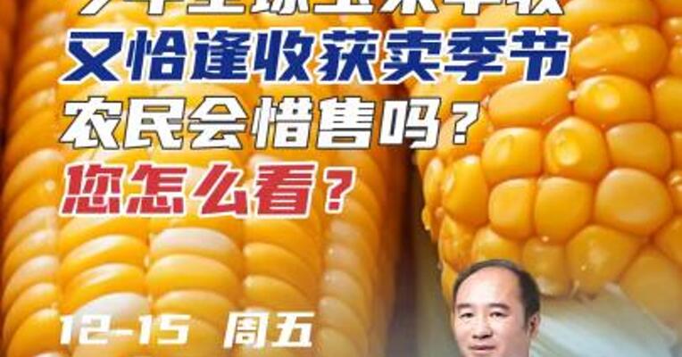 今年全球玉米丰收，又恰逢收获卖季节，农民会惜售吗？您怎么看？#农业 #天气 #期货