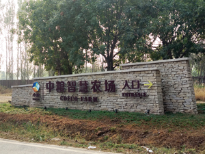 中粮科技董事长殷建豪因工作原因辞职