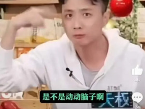 东方甄选主播疑挑衅“黑粉”，一夜掉粉70万！东方甄选凌晨宣布停播一天，闭门思过！7天已掉粉200万