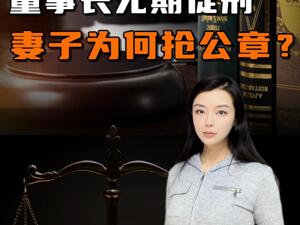 浏阳河酒董事长被判无期徒刑，妻子为夫争夺控制权抢公章？