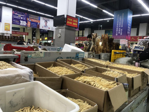 中药材行情旺季遇冷？有品种半个月降价80%  业内人士判断本轮牛市已结束