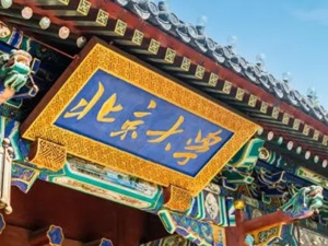 北大副教授“跨栏”入校，和保安“比赛跑步”？北京大学最新回应！专家：大学本身就是公共资源，不该封闭起来
