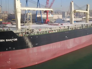 中国首制！全球最大！“Green Santos”正式交付运营：77000吨，总长225米