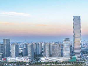 城芯蜕变 大城已现 城市焕新点睛之笔“高·尚领域”核心地标闪耀真如板块