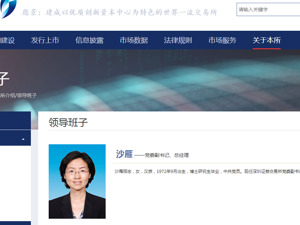 证监女将沙雁，任深交所党委书记！曾经历过“最严IPO财务大检查”