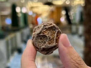 上海一店铺卖话梅，每斤卖1600元！店家：有人指名要，一下买2斤！市监局：商家可自行定价……