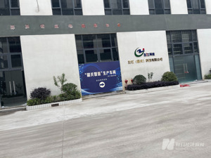 千万元网卡销售无法确认收入 *ST左江芯片业务存疑