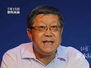 大搞“雅腐”！唐双宁被开除党籍！写诗数千首，自称“擅长书法、略通金融”……