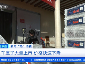 一斤直降60元！“明星水果”大量上市了！批发商：预计价格还会降