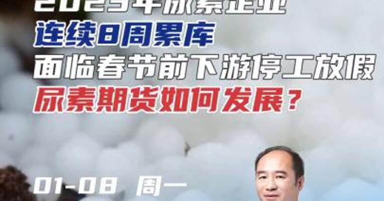 2023年尿素企业却连续8周累库，面临春节前下游停工放假，尿素期货如何发展？#期货 #化工 #供应