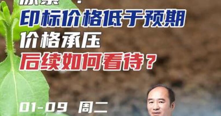 尿素 ：印标价格低于预期，价格承压，后续如何看待？#期货 #化工 #化肥