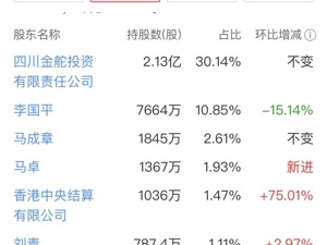 《繁花》照进现实？“胡歌”成这家A股公司第八大股东！公司回应