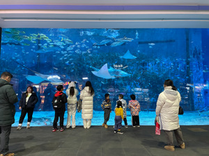 茂化实华出售北京海洋馆“难产” 两关键人物牵出神秘买家关系网