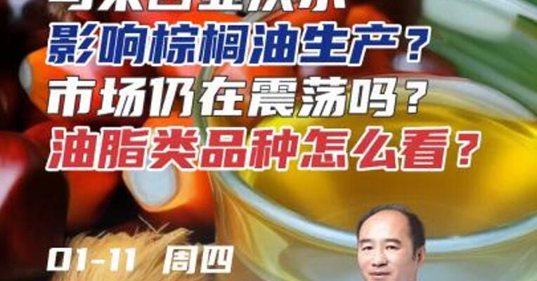 马来西亚洪水影响棕榈油生产？市场仍将在矛盾中震荡吗？油脂类品种怎么看？#期货 #农业 #进出口