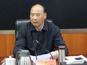 肖华被开除党籍！