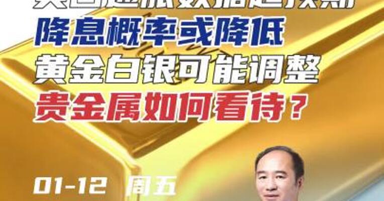 美国通胀数据超预期，降息概率或降低，黄金白银可能调整，贵金属如何看待？#期货 #理财 #金子