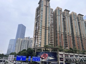 杀疯了！广州千万级豪宅成交量创历史新高