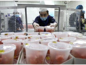 解读2023中国经济年报 | 专访盘和林：去年消费整体表现稳中有进，未来新型消费业态仍有较大发展空间