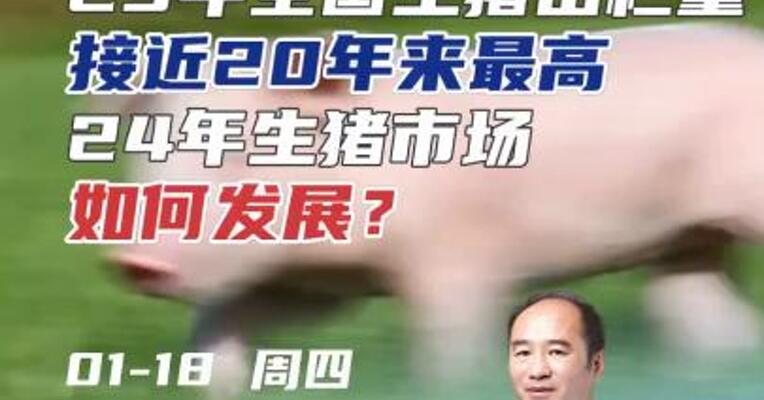 23年全国生猪出栏量接近20年来最高，24年生猪市场如何发展？#农业 #猪肉 #期货