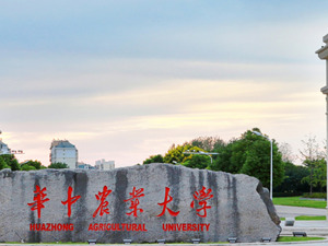 11名学生写125页材料举报导师学术造假！华中农业大学凌晨通报：该教师存在学术不端行为，停止所有职务和工作