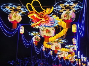 点亮“夜间经济”助推文旅产业高质量发展 “第二届凤凰国际灯会”在成都青白江区开幕