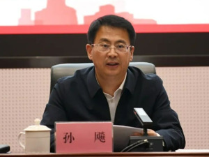 刚辞去市长的孙飚，官宣被查！