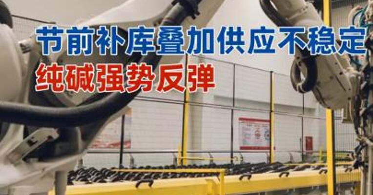 节前补库叠加供应不稳定，纯碱强势反弹