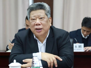 金融反腐新消息！王芝斌被查