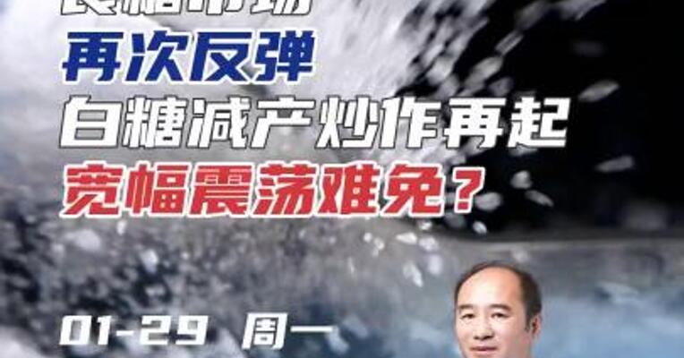食糖市场再次反弹，白糖减产炒作再起，宽幅震荡难免？#农业 #期货 #投资