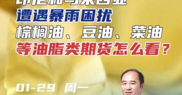 印尼和马来西亚遭遇暴雨困扰，棕榈油、豆油等油脂类期货怎么看？#期货 #理财 #农产品