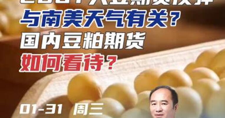 CBOT大豆期货反弹，与南美天气有关？国内豆粕期货如何看待？#期货 #理财 #农产品